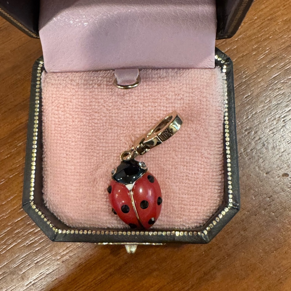 Juicy couture, ladybug charm